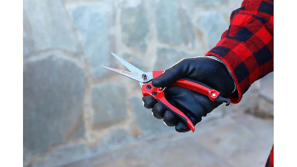 Kamikaze Precision Harvesting Shear/ Flower Snips KM-13