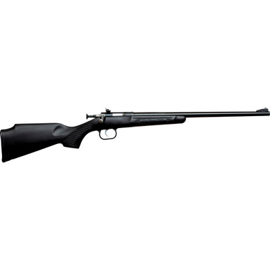 Crickett .22 LR 1rd 16.13" Blued Black Synthetic Stock RH (Youth)